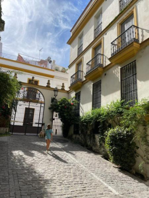Sevilla Centro-Casco Antiguo -Vidrio 36